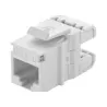 CONECTOR FÊMEA GIGALAN PREMIUM CAT.6 T568A/B KEYSTON - BR SP