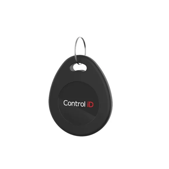 CHAVEIRO RFID 125 KHZ - CONTROL ID SP