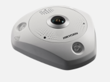 12 MP DeepinView Immervision Lens Fisheye Network Camera