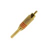 Plug RCA Macho Dourado Mola 6MM