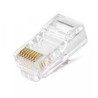 Conector RJ45 CAT6 Storm Macho