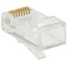 Conector Macho RJ45 CAT 5E
