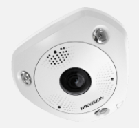 12 MP Fisheye Network Camera.