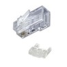 Pino Jack Rj-45 8x8 Cat 6 Macho Pacote Com 50 Pecas