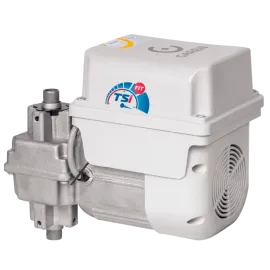 BV TSI FIT 1/3   - R.P